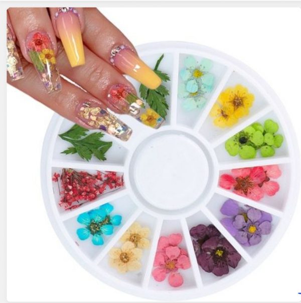 3D wheel dried flowers nail art decoration - Generic
