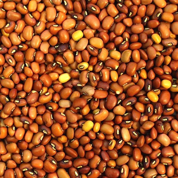 Cow peas