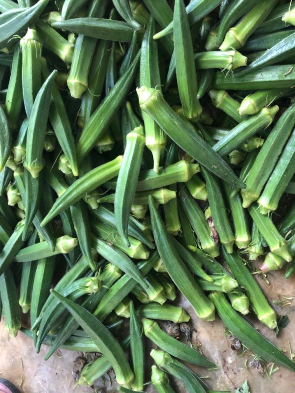 Okra | Mabenda