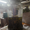 Anti-inflammatory Infusion