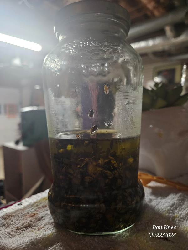 Anti-inflammatory Infusion